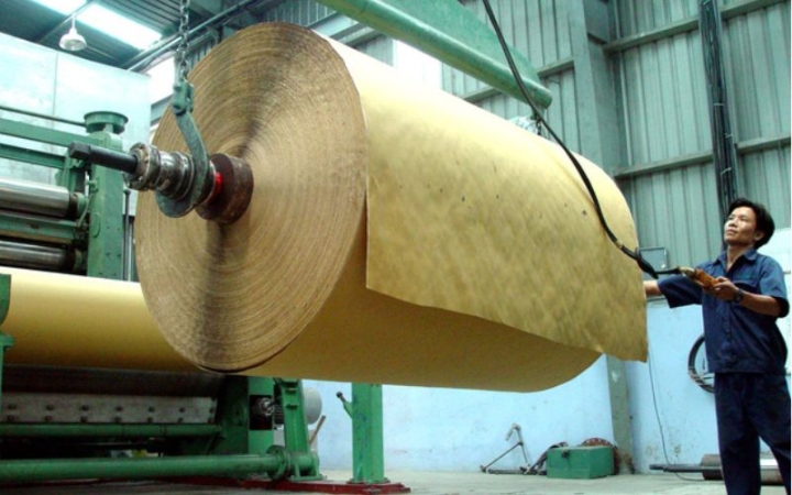 Bột giấy là gì? Phân loại, ứng dụng và quy trình sản xuất